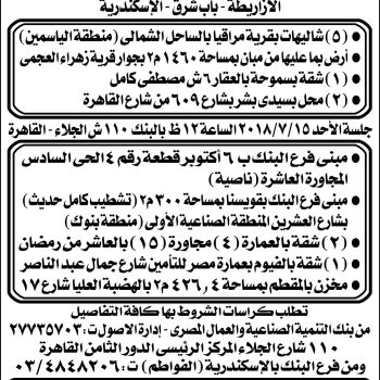 بنك التنميه الصناعيه و العمال المصرى