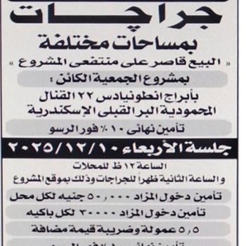 WhatsApp Image 2025-11-24 at 1.25.49 PM