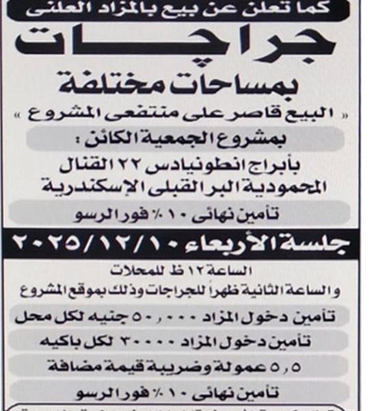 WhatsApp Image 2025-11-24 at 1.25.49 PM